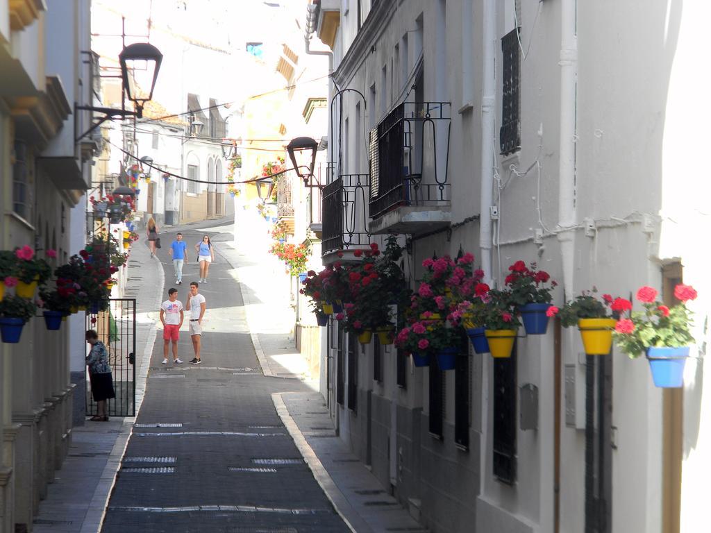 El Coronel, La Mejor Ubicacion, Descubre Estepona! *
